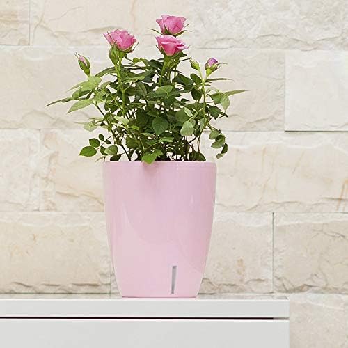 Santino 4.9 Inch ORCHIDEA Self Watering Pots for Orchids in Transparent - Decorative Wicking Planter with w/Great Aerification, Drainage and Water Level Indicator