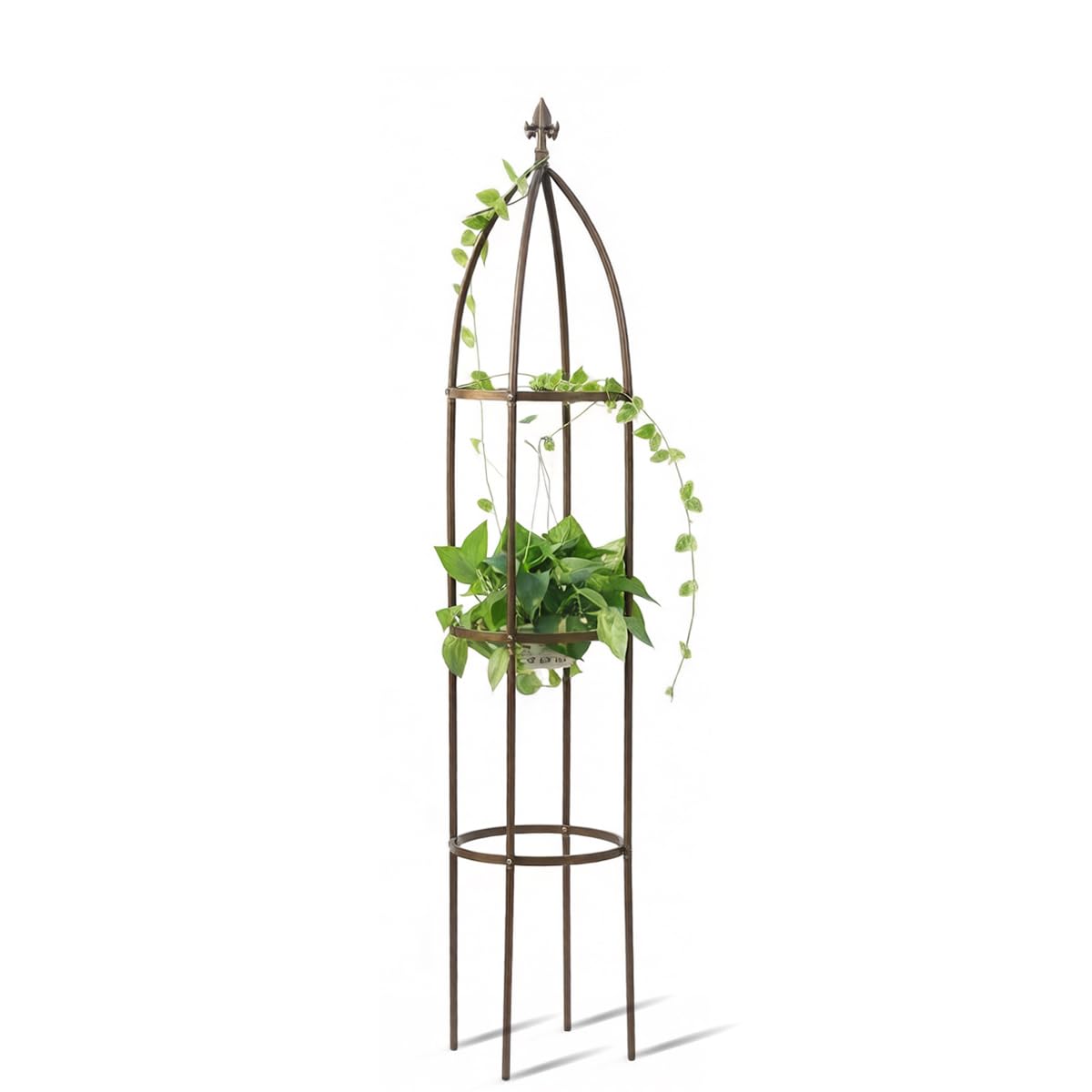 Garden Obelisk Trellis 100% Metal Heavy Duty 5.5 ft for Climbing Vines