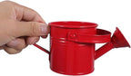 2PCS Metal Watering Can,Small Iron Kid Watering Can Indoor Plants Sprinkling Kettle with Long Spout,Boys Girls Garden Watering Pot for Outdoor Plants or Play Time(Random Colors)