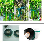 3 Rolls 150 Feet Stretch Tie Tape 0.5 Inch Garden Tie Tape Thick Plant Ribbon Garden Green Vinyl Stake for Indoor Outdoor Patio Plant Use