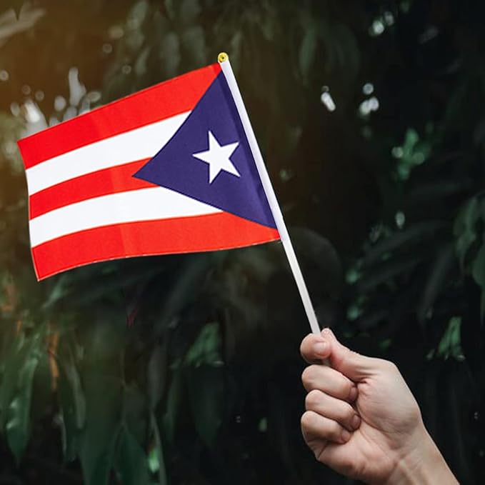 Puerto Rico Flag Puerto Rican Flag, Small Mini Handheld Puerto Rico Flags on Stick, Ideal for Party Parades Sports Events Patriotic Festival Decorations