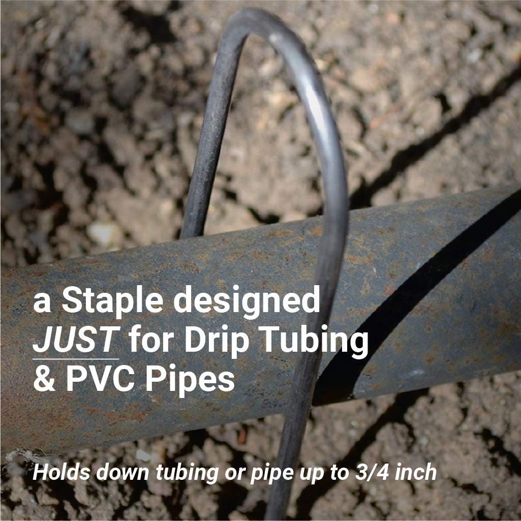 Sandbaggy Round Top 6-Inch Landscape Staples ~ SOD Garden Stakes Square Pin for Ground Cover Fabric & Drip Irrigation Tubing (1,000 Staples)
