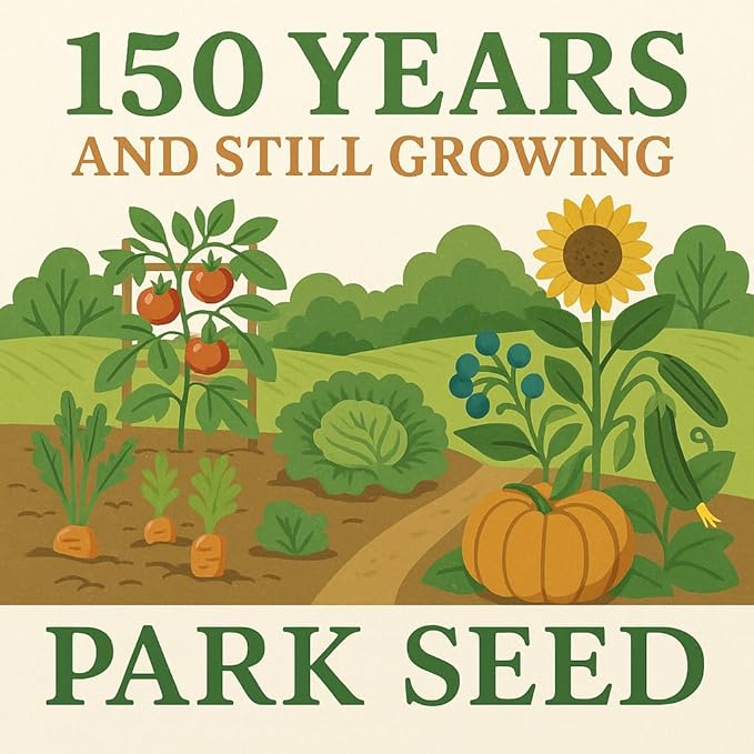 Park Seed Variety of Tomato Seeds, Planting Vegetables, Easy to Grow, Non-GMO, Perfect for Harvesting, Better Bush Hybrid, Pack of 30