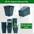June Fox Plastic Seedling Pots, 60 Pack Square Nursery Pots 4 Inch, Small Plant Pots with Drainage Holes for Seedlings, Succulents, Cuttings (Green)