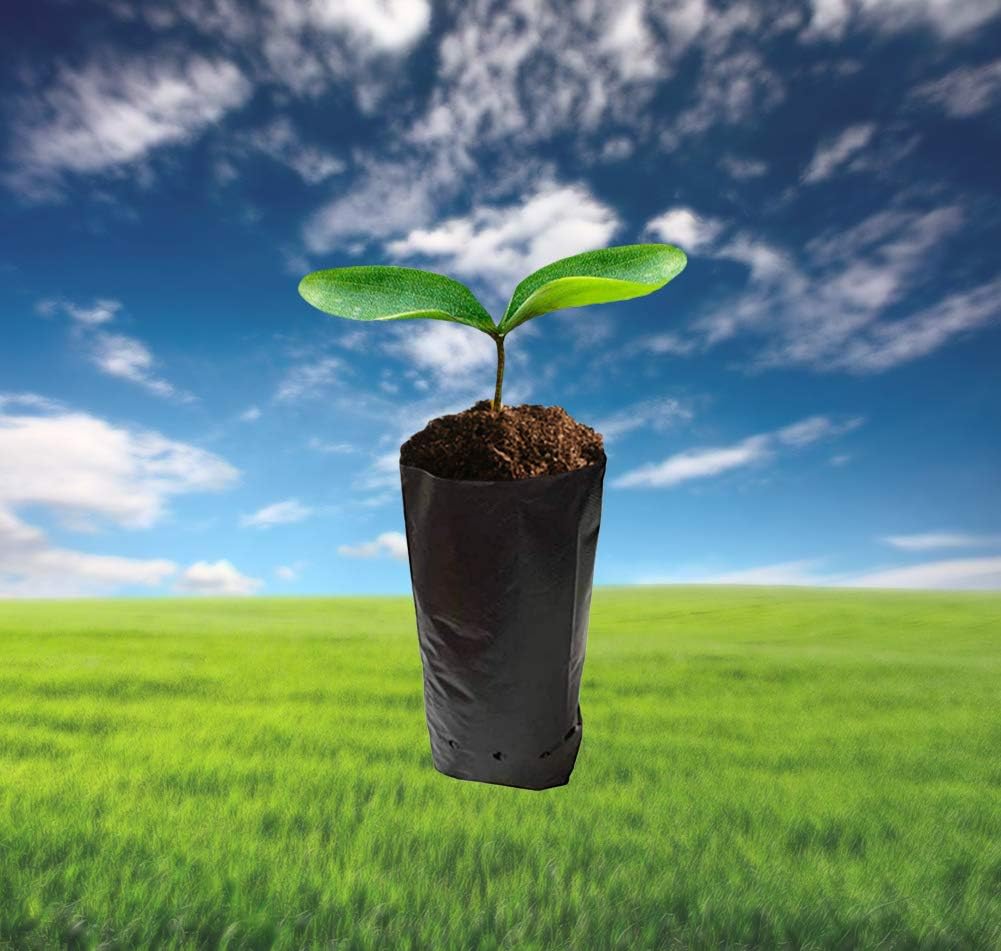 100 PCS Thicken Plastic Nursery Bags for Plants Fruit Flower Grow Bags Seedling Pots (7.87x15.75 in)