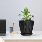 6 inch Plant Pots, 5 Pack Flower Pots for Indoor Outdoor Plants, Water Ripples Plastic Planters with Drainage Holes and Saucers, Nursery Pots for Small Succulent Garden House Plants, Black