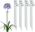 36 Inch 12 Packs Plant Support Stakes,Garden Single stemmed Plant Support Hoops, Plant Prop, for Flowers,Orchid, Tomatoes Peony Lily Rose (36 inch)