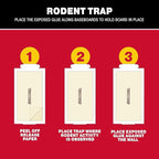 Catchmaster Compact Sticky Insect & Mouse Traps 75-Count, 3.5"x7" Glue Boards for Mice & Insects, Ultra Sticky Mouse Traps Indoor for Home Use in Garages, Basements & Attics, Capture in Tight Places