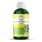 Organic Premium Kelp Seaweed Concentrate for Hoya - Liquid Fertilizer - Liquid Plant Food - Nutrient-Rich Soil Enhancer - Natural Plant Food for Hoya Plant (8 OZ), OLKC-15