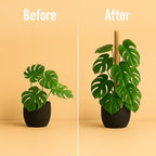 Moss Pole Monstera Plant Support – 2 Pack 28” Bendable Moss Pole Monstera Plant Support, Plant Stakes for Indoor Plants, Tall Plant Sticks Support for Climbing Plants