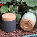 ZMTECH Spring Planters for Indoor Plants, Plant Pots & Flower Pots, Plastic Planter 3 Pack 8 Inch Self Watering with Drainage Hole and Saucer, Modern Decorative Indoor Outdoor, Dark Gray White Green