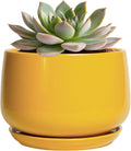 G EPGardening Ceramic Plant Pot - 6 Inch Ceramic Planter with Drainage Hole and Tray, Modern Round Planter, Flower Pot for Indoor Outdoor Plants, Plants Lovers Gifts, House Garden Decor, Yellow
