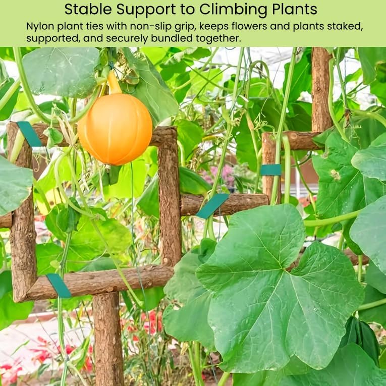 Reusable Plant Ties Hook and Loop Soft Garden Tape Roll Gentle Plant Supporting Ties Double Sided Self Gripping Adjustable Garden Staking Straps for Climbing Plants and Vines (1/2 Inch x 82 ft, Green)