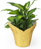 4.5” STD Plant Pot Covers, Decorative Plant Sleeve for Indoor & Outdoor House Plants, Reusable and Gift-Ready Foil Wrap for Flower Pots, Gold, Pack of 5