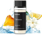 Hotel Diffuser Oil Inspired by The Ritz Carlton Hotel Scent - 50 mL 1.69 fl oz - Essential Oil Blend Botanical Jasmine, Bergamot & Fresh Marine Notes for Aromatherapy Diffusers - Cabana