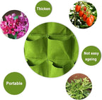 WFIST Vertical Hanging Planter Bag, Breathable Felt Wall Garden Planter with Metal Grommets, Indoor/Outdoor Space-Saving Herb & Flower Growing Pouch (12-Pocket)