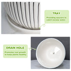 Hlukana Ceramic Plant Pots Set of 3, 6.75/5.6/4.2 inch Planters with Drainage Holes and Saucer, Flower Pot Outdoor Indoor, Modern Decorative Planters for House Plants Garden Planters Succulent Pots