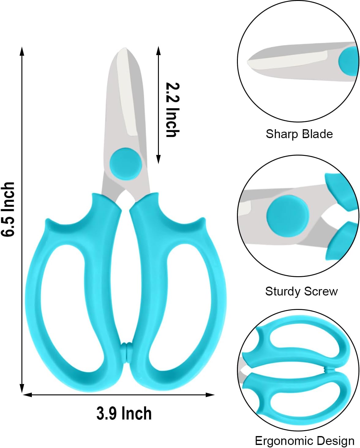 Flower Scissors - Stainless Steel Flower Shears, Garden Plant Floral Shears for Fresh Flowers Stems (Blue, Green, Pink, Violet) (1 PC Violet)