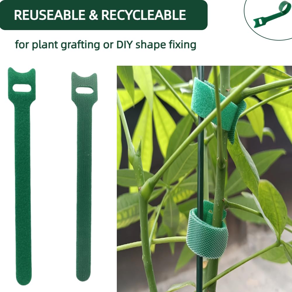 CHZKVOY 100Pcs 6-Inch Green Reusable Adjustable Plant Ties & Garden Tape