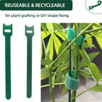 CHZKVOY 100Pcs 6-Inch Green Reusable Adjustable Plant Ties & Garden Tape