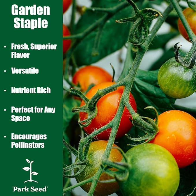 Park Seed Variety of Tomato Seeds, Planting Vegetables, Easy to Grow, Non-GMO, Perfect for Harvesting, Kellogg's Breakfast Organic, Pack of 30