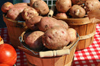 Red Pontiac Certified Seed Potatoes 3Lb - Non GMO - Naturally Grown - Whole Potatoes - Ready for Planting