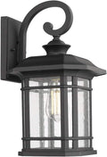 Emliviar Outdoor Wall Lights for House, 1-Light Exterior Wall Sconce Black Finish with Clear Seeded Glass, 17" Height, 22021M