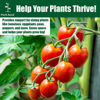 Park Seed Tomato Cages – 48" Tall Heavy-Duty Plant Supports for Tomatoes, Peppers, Cucumbers, and Climbing Vegetables, Foldable Metal Garden Trellis, Pack of 3
