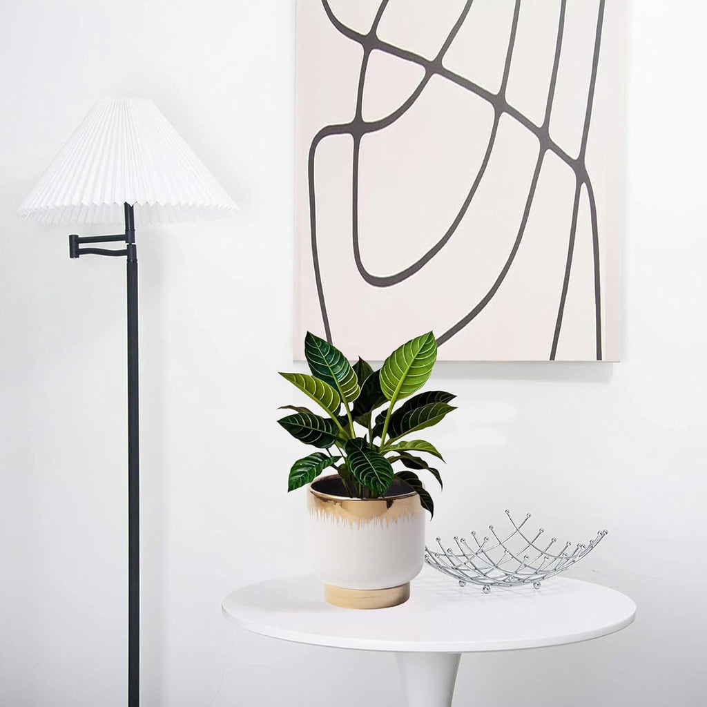 LB White Gold Ceramic Plant Pot for Indoor Plants, Succulent Planters Ceramic Plant Pots, Modern Flower Pots for Living Room Office Home Decor, Round Flower Pot of 4.3 Inch(Plant Not Included)