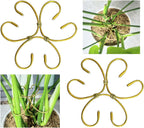 2PCS 6" Plant Stem Support,Stabilizer Grapple Holder for Monstera and Climbing Plants,Reusable Flower Plant Support,Leaf Stabilization and Support for Thriving Growth.