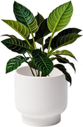 LB White Ceramic Planters for Indoor Plants, Succulent Plant Pots Ceramic Flower Pots, Modern Plant Pot for Living Room Office Home Decor, Round Flower Pot of 4.3 Inch(Plant Not Included)