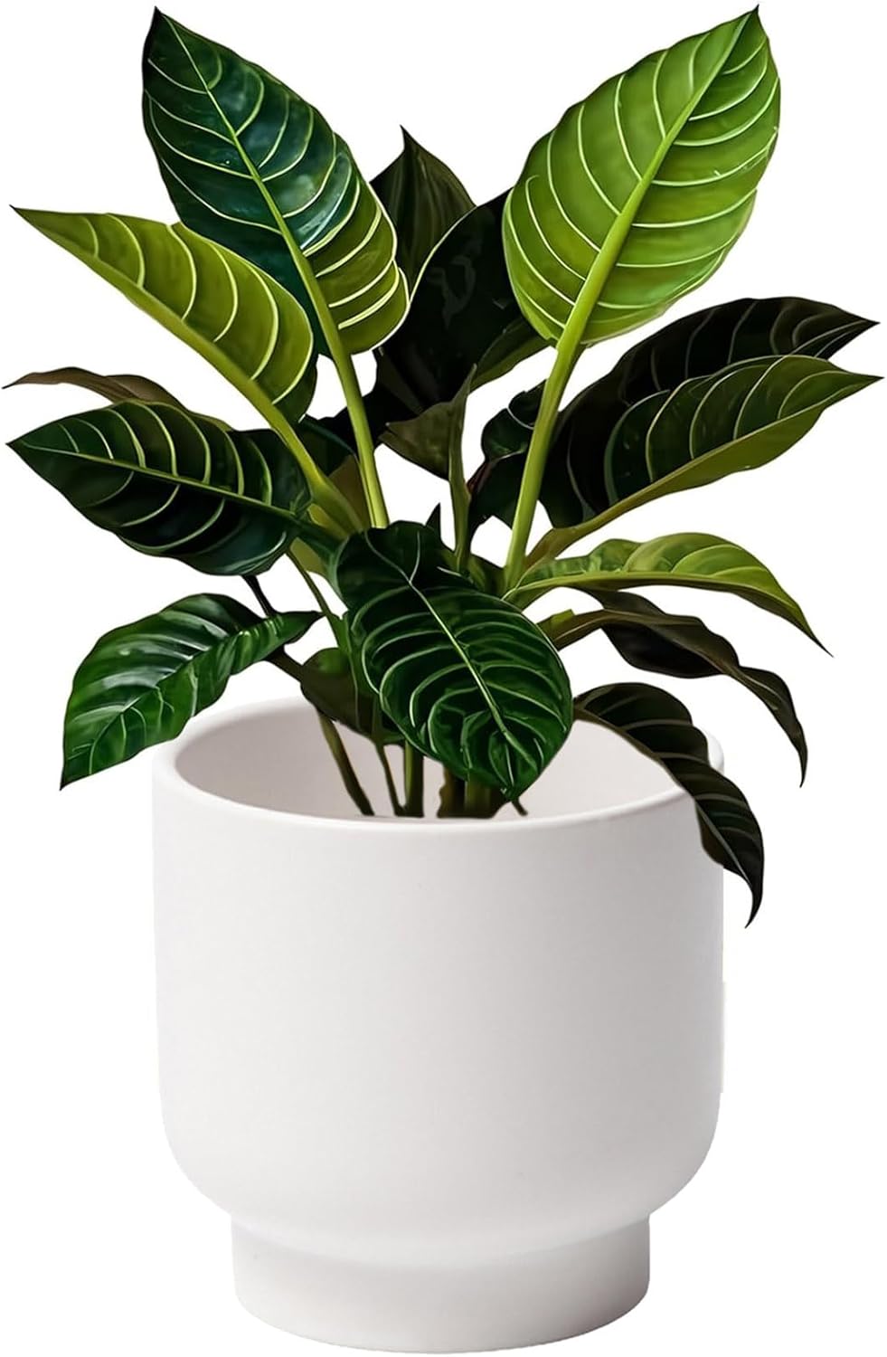 LB White Ceramic Planters for Indoor Plants, Succulent Plant Pots Ceramic Flower Pots, Modern Plant Pot for Living Room Office Home Decor, Round Flower Pot of 4.3 Inch(Plant Not Included)