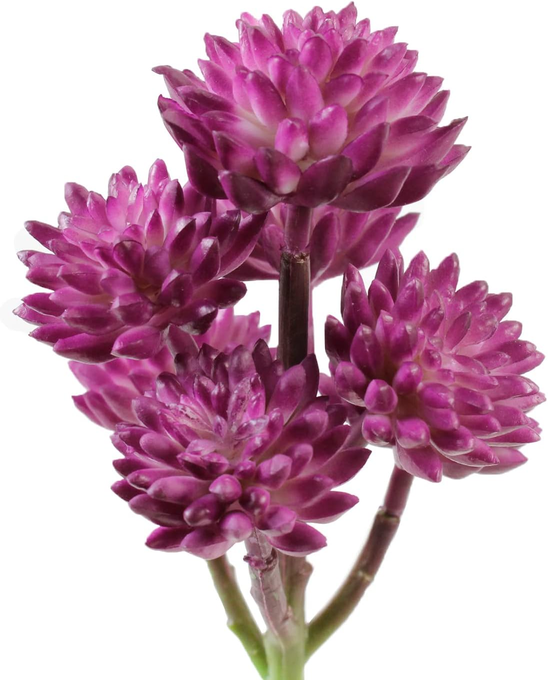 AQUANEAT Terrarium Plant, Fake Reptile Plant for Amphibian Habitat, 6.5 inch Tall Purple