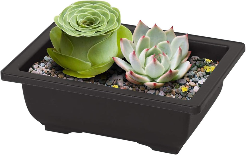 KINJOEK 15 PCS 6.5 Inch Plant Pot, Rectangular Plastic Bonsai Training Pots with 15 Humidity Trays, Flower Succulent Pots Container for Garden, Indoor, Home Decorative