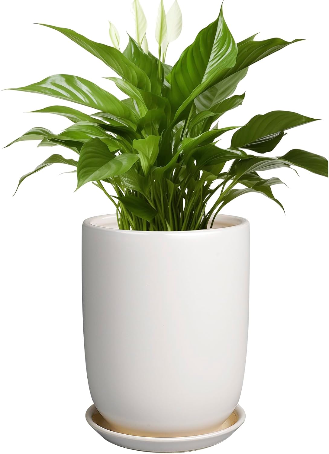Plant Pot 8 Inch - Ceramic Planter for Indoor Plants Outdoor, Large Plant Pot with Drainage Hole and Saucer, Modern Flower Pot, White