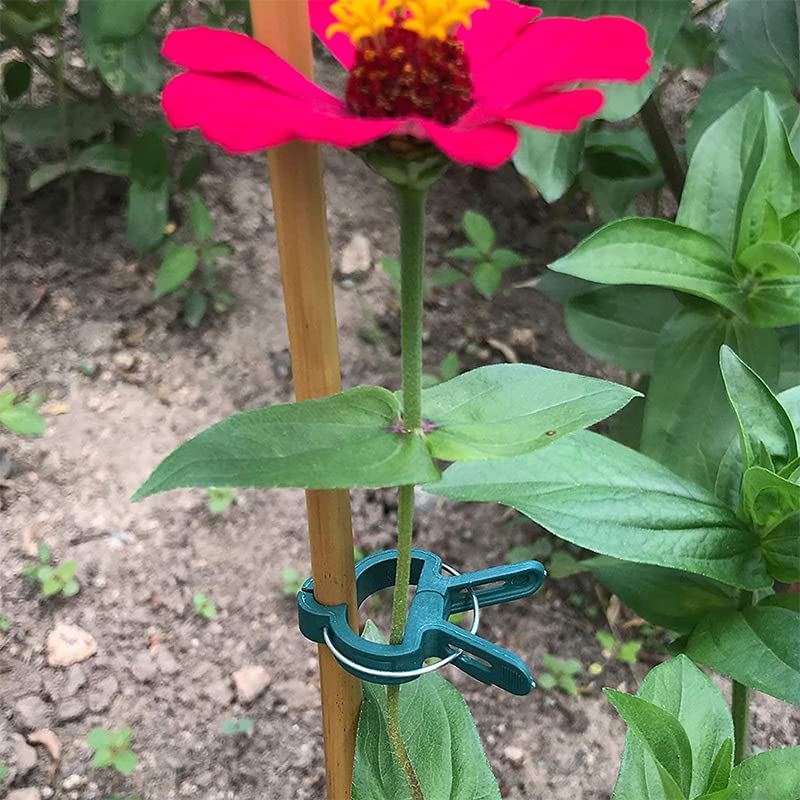 7Queen 80PCS Garden Plant Supports Clips, 2 Sizes Adjusting Reusable Plant Clips for Supporting Stems of Flower Vine Vegetables Tomatoes Climbing