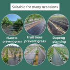 6 inch 25 Pack Black Galvanized Landscape Staples 11 Gauge Garden Stakes Pins Anti-Rust Ground Stakes U-Shaped Tent Stakes are Used for Weed Barrier, Irrigation Tubing, Yard Lawn, Landscape Fabric