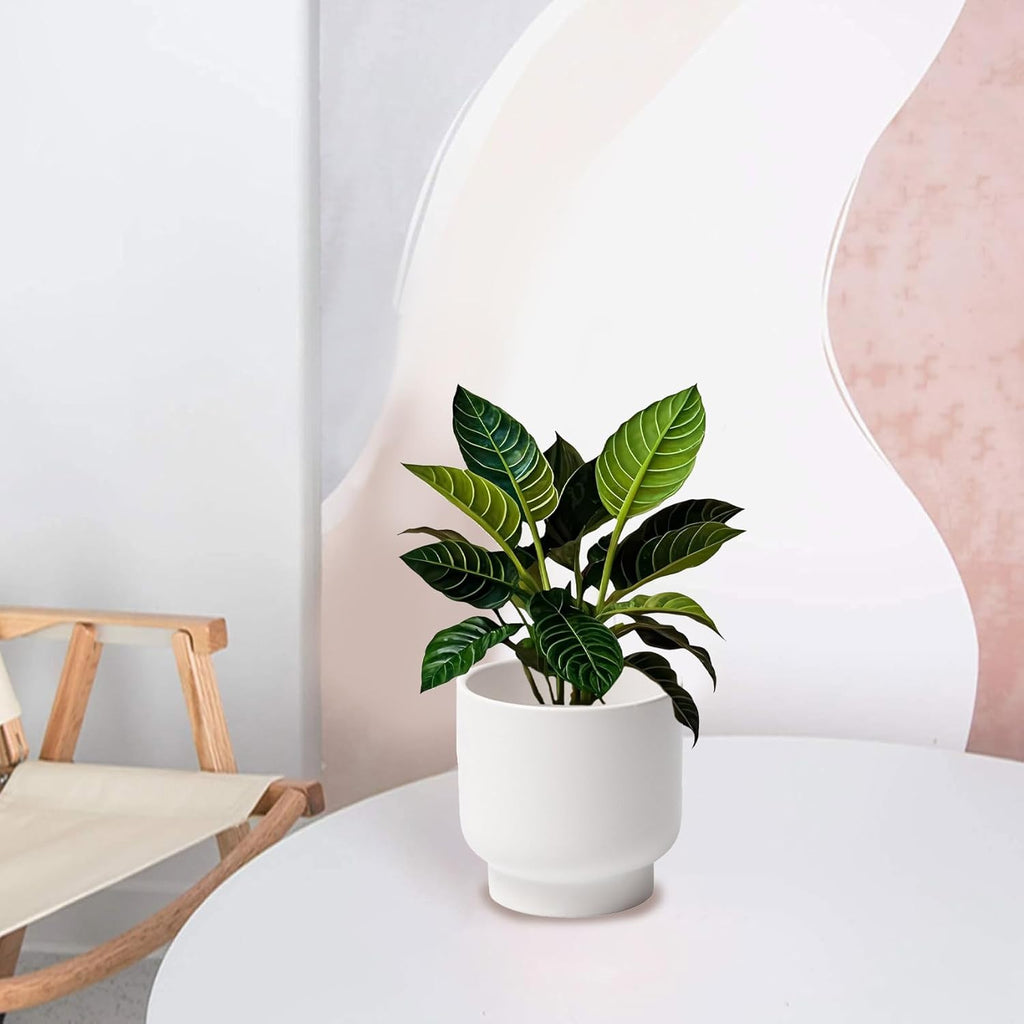 LB White Ceramic Planters for Indoor Plants, Succulent Plant Pots Ceramic Flower Pots, Modern Plant Pot for Living Room Office Home Decor, Round Flower Pot of 4.3 Inch(Plant Not Included)