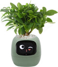 Smart Pet Planter, Smart Plant Pot, With Artificial Intelligence, Time Weather Display, And Multiple Expressions Animation,Lovely Plant Companion, For Desktop Decoration, Gifts,Plant-Free (Green)