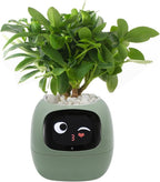 Smart Pet Planter, Smart Plant Pot, With Artificial Intelligence, Time Weather Display, And Multiple Expressions Animation,Lovely Plant Companion, For Desktop Decoration, Gifts,Plant-Free (Green)