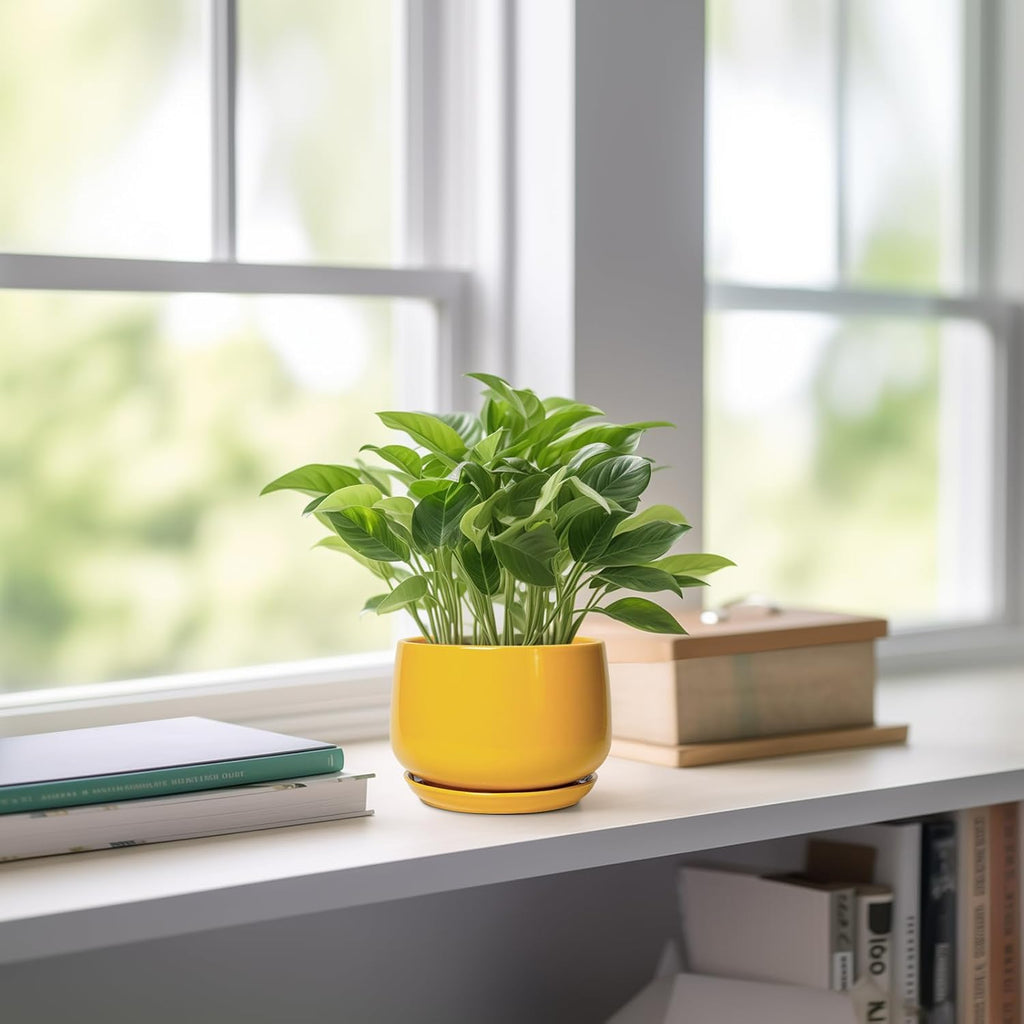 G EPGardening 4 Inch Ceramic Planter - Succulent Pots for Plants Indoor Outdoor, Small Plant Pots with Drainage Hole & Saucer, Round Planter, Modern Flower Pot, Home Decor, Plant Lover Gift, Yellow