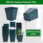 June Fox Small Seedling Pots 4 Inch, 100 Pcs Square Plant Pots Bulk, Plastic Nursery Pots with Drain Holes for Seedlings, Succulents, Cuttings (Green)