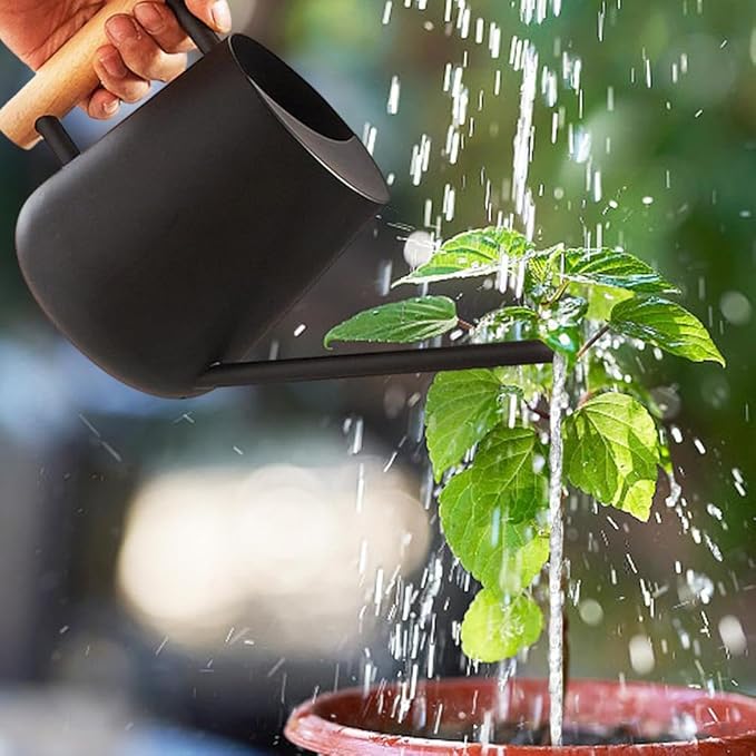 Watering Can Indoor Plants, 30oz/900ml Small Plant Watering Can with Long Spout, Stainless Steel Garden Watering Cans Outdoor Watering Pot for Indoor House Plants Bonsai Flower Decorative