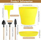 Hahood 20 Pack Plastic Planters 5.5 Inch Plant Flower Pot with Trays, Seedlings Nursery Pots Planter Flower Container Seed Pots for Seedling, Transplanting, Cutting, Assorted 10 Colors