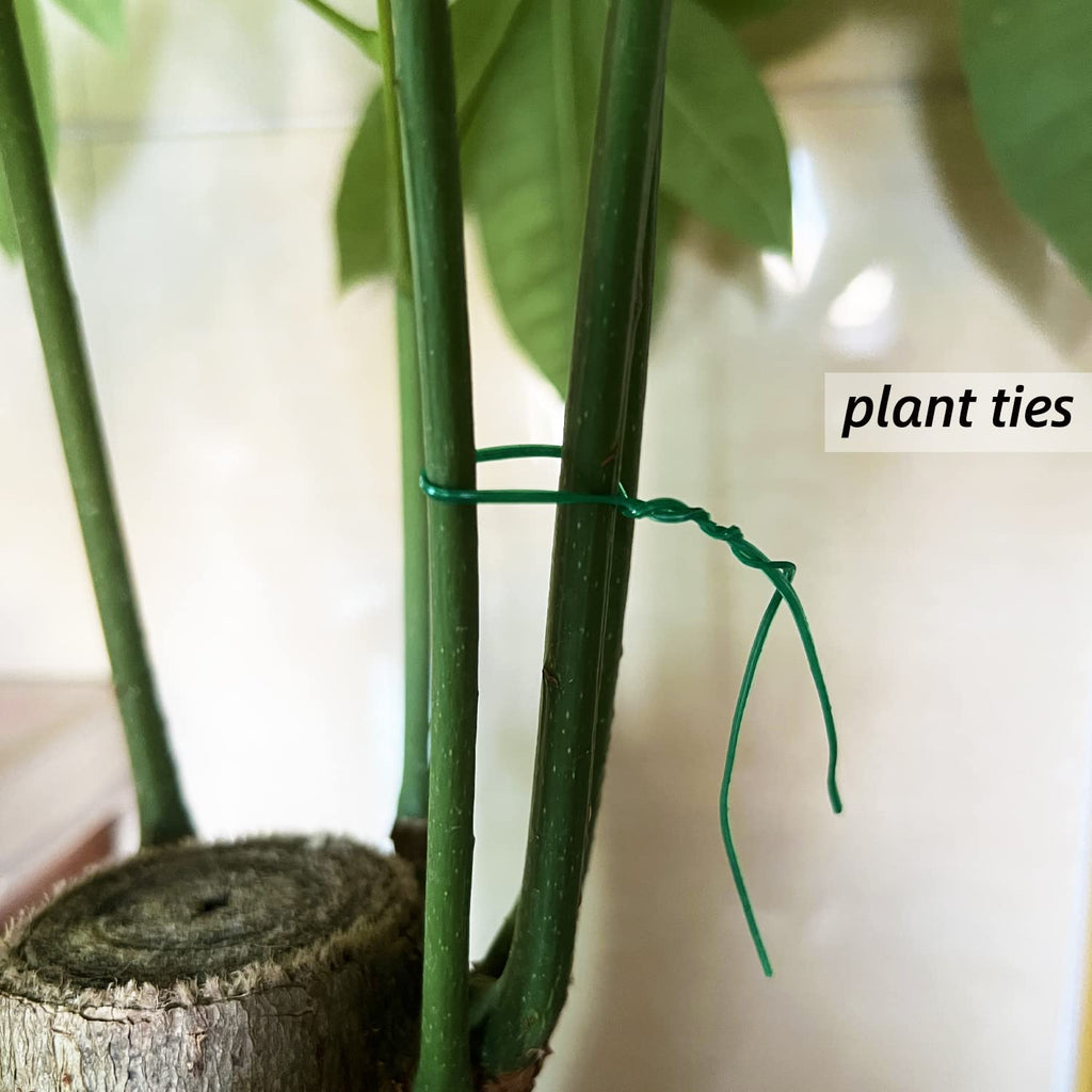 Plant Twist Ties - 8'' Plant Ties for Climbing Plants, Pack of 100, Green