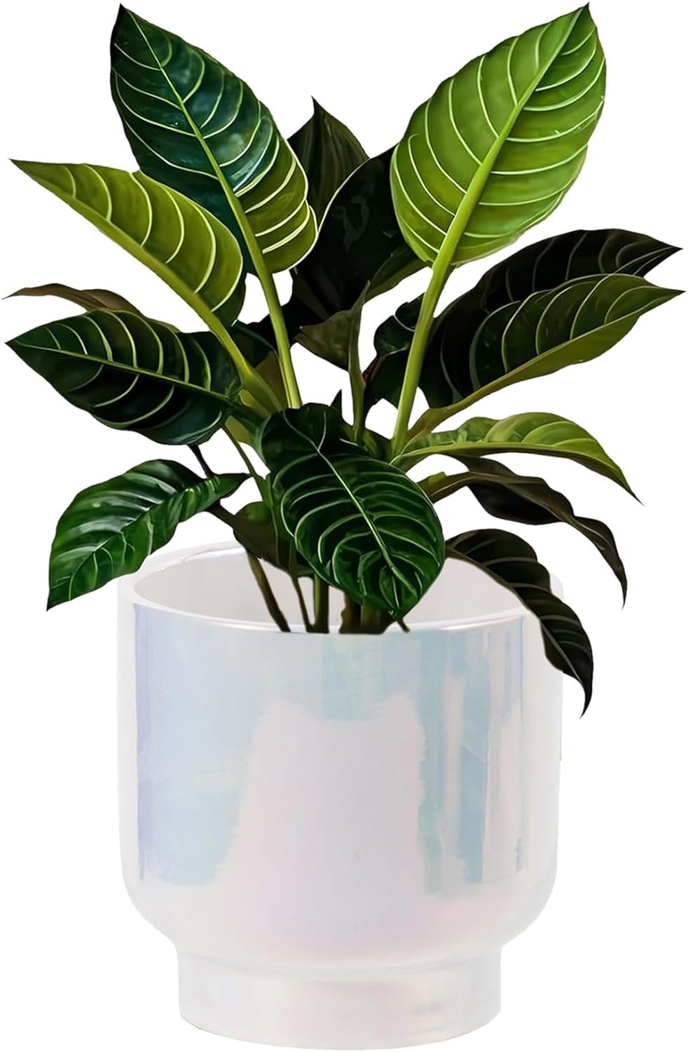 LB Blue White Ceramic Planters for Indoor Plants, Succulent Plant Pots Ceramic Plant Pot, Modern Flower Pots for Living Room Office Home Decor, Round Flower Pot of 4.3 Inch(Plant Not Included)