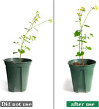 12 Pack Plant Stakes,Plant Support Stakes for Two Sizes(16 or 32 Inches),Plant Stakes for Outdoor Plants,Garden Flower,Tomato(Green)