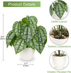Fake Plants Small Faux Potted Plant 9.8 Inches Fake Piper Sylvaticum with Pot Artificial Plants Indoor for Home Decor Bedroom Aesthetic Bathroom Shelf Living Room Office Kitchen Table Decoration