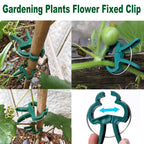 7Queen 80PCS Garden Plant Supports Clips, 2 Sizes Adjusting Reusable Plant Clips for Supporting Stems of Flower Vine Vegetables Tomatoes Climbing