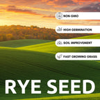 Nature’s Feast Rye Seeds – 1 lb Non-GMO Forage & Cover Crop for Healthy Soil and Wildlife - Open-Pollinated, Healthy, Non-GMO